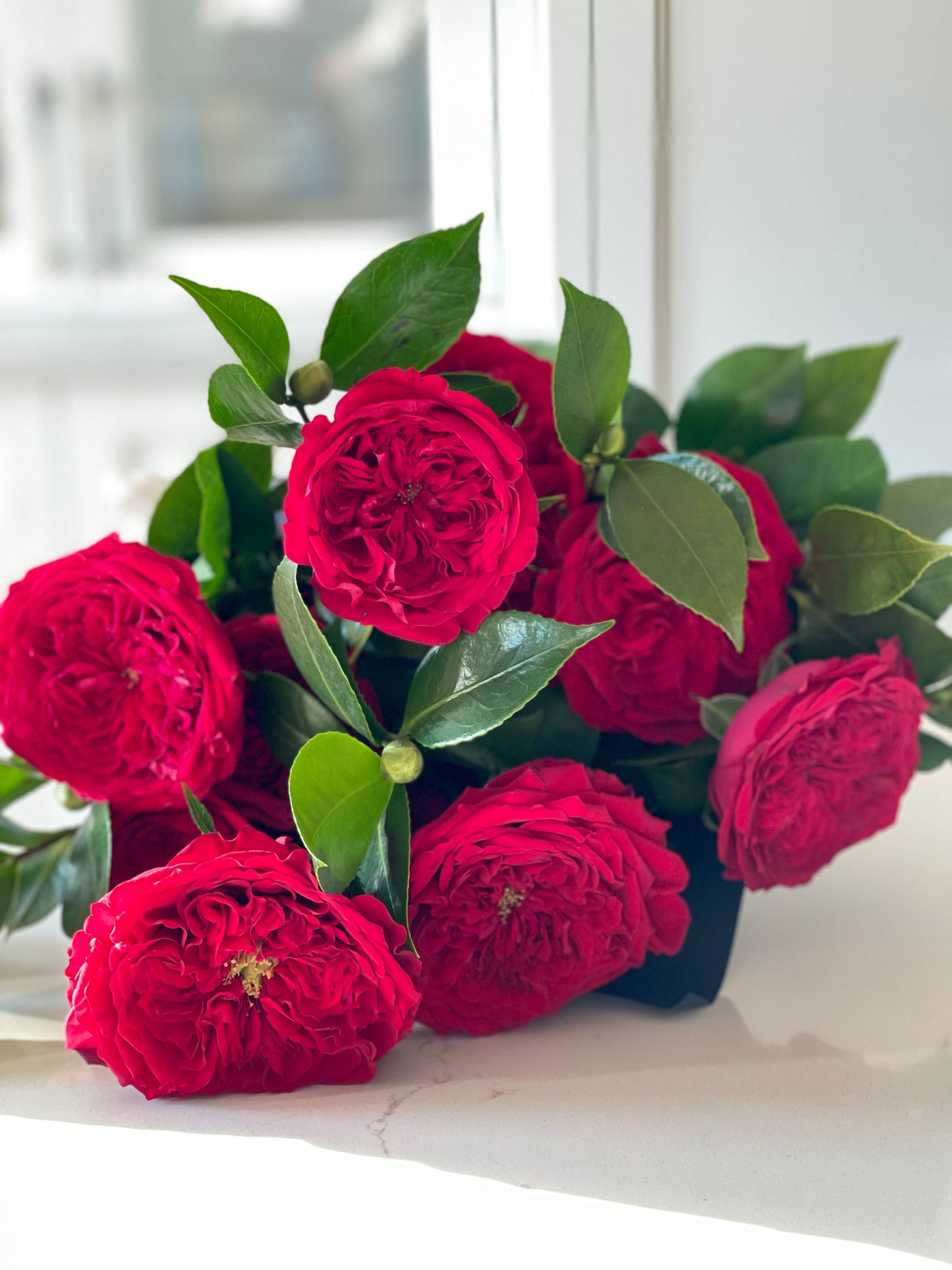 David Austin Garden Roses in a Vase